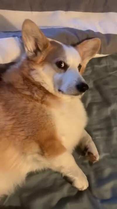 What You Talkin Bout Willis?