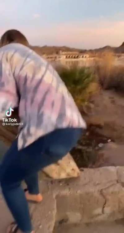 Gandalf vs The Balrog, white girl edition.