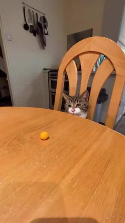 Mmmm... a Cheese Ball