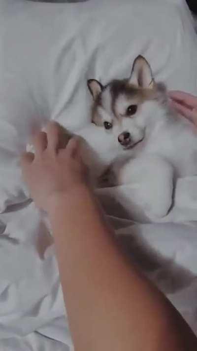 getting wrapped up for bed 🛏 💤