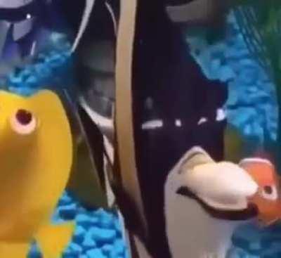 An oldie but a goodie