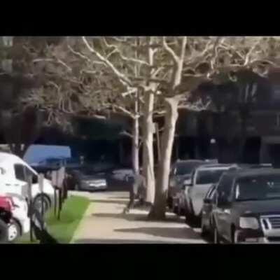 se re vivió el wachin