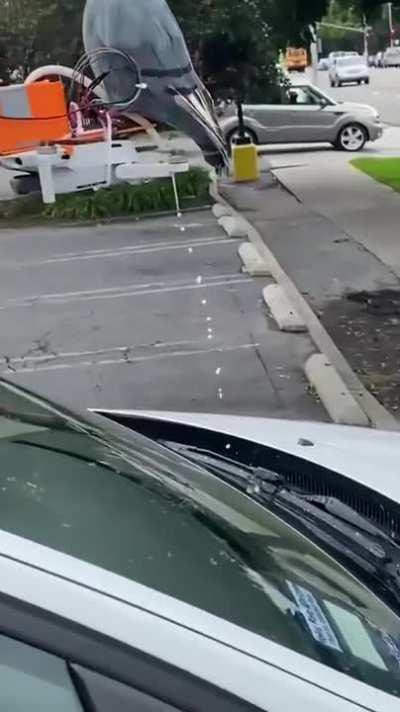 The pigeon of the future…