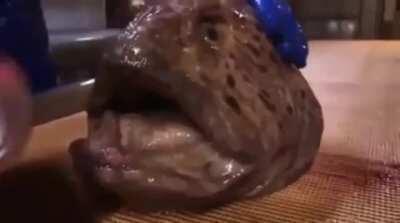 The head of a Wolf Eel can still bite and poison you after it’s been decapitated.
