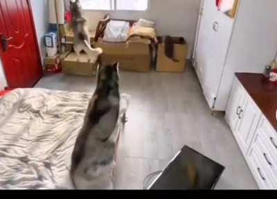 To Not Be A Scapegoat