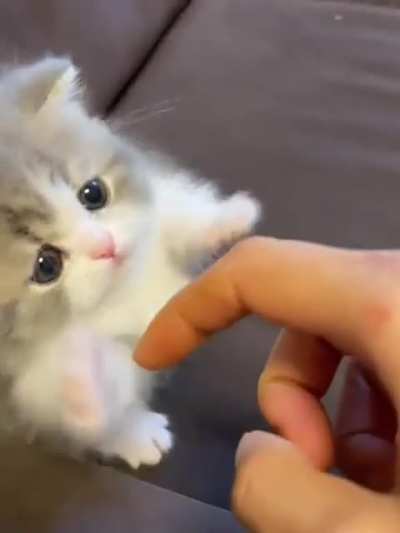 Awww, you guyz are soo cute🥰