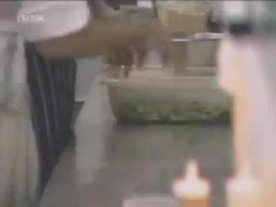 Gordon Ramsay in the 90s. More mad than ever.