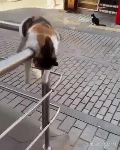 Me at 3 am wondering what life is