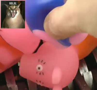 Exterminating Haram ❌🐷 مساعدة ، أنا مغلق حاليا الرجاء إرسال المساعدة