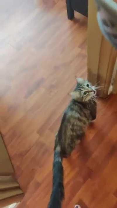 Yells and tippy toes for breakfast