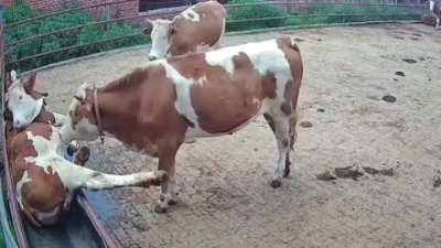 Now what? C O N S U M E