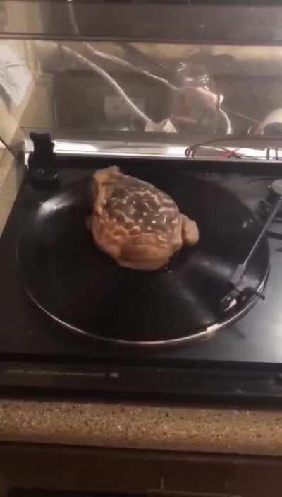 Nothing like the warmth of nature