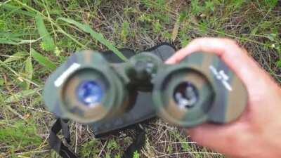 Want to see more of me? See what I offer in the comments below👇