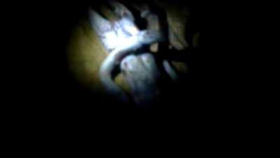 Leaked footage of grave robbers raiding Nazca Cave in Peru exposing unidentified blue alien.