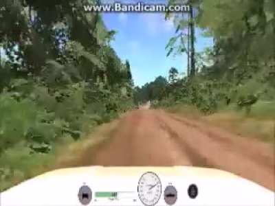 would i make a great rally driver