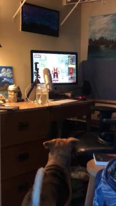 She’ll do this all day if I let her.