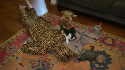 My son has infiltrated the criminal gang.