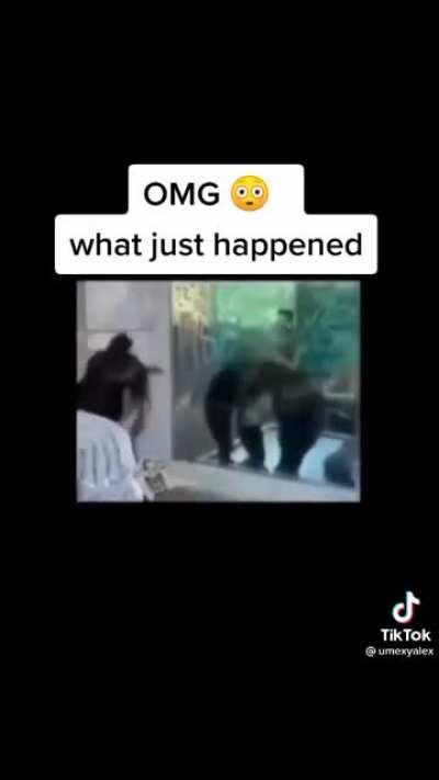 Who's the monkey now?