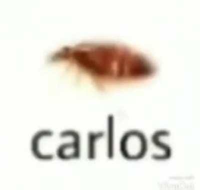 Carlos