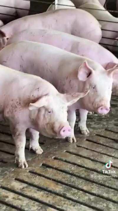 How did he do that?!