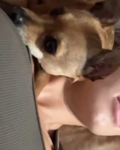 One more - IG 22/03/2025