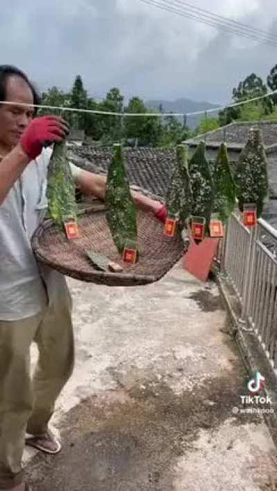 Што блять происходит