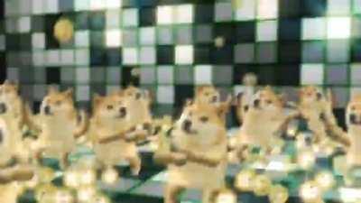Me and the bois watching Dogecoin 🚀 this week.
