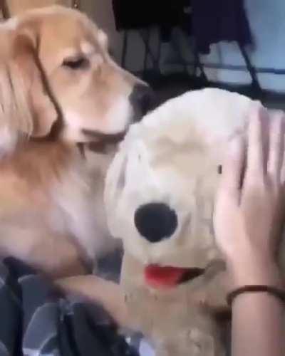 Every good boy has his limit.