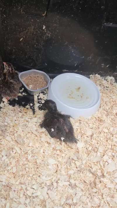 Got another newhire!