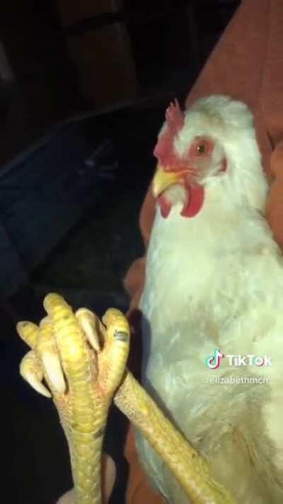 Holding hands... err... feet...