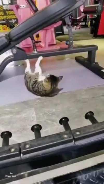 Just Joined a Gym.😂