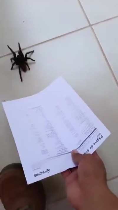 This little friend needed a hand