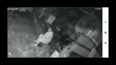 Middle age women fighting leopard with walking stick