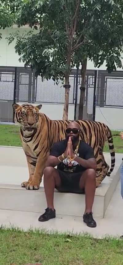 Need to get that perfect pose for the 'gram