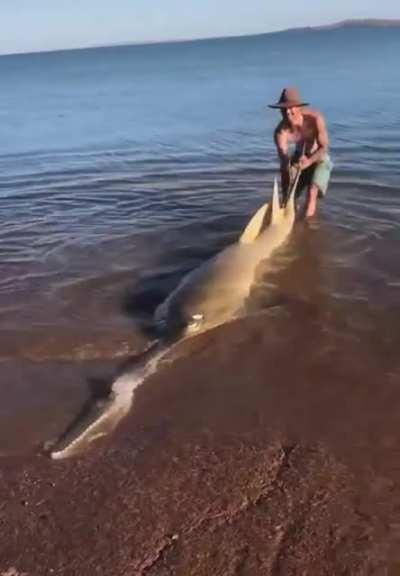 Awesome deed yet nerve-racking