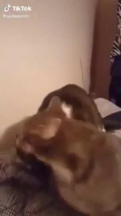 Small bite.. just a nibble..