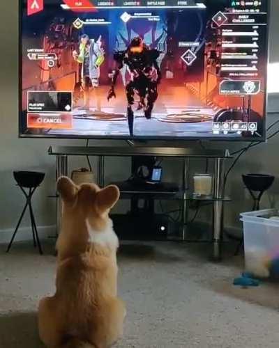 Muito realista MonkaS