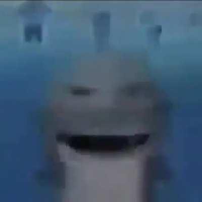 sharkfvbfdgrtxfgv bgnhdytujhngvczdfsgetwy5hnts fbvcfgsrt6y5w