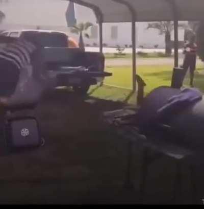 Prietos en aprietos 🙀