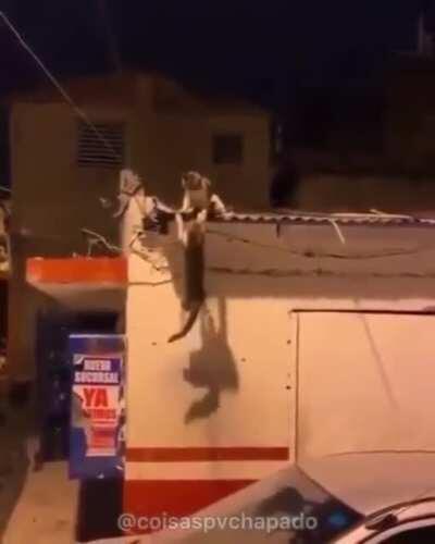 2 da manha e eu aqui (Quibei tbm)