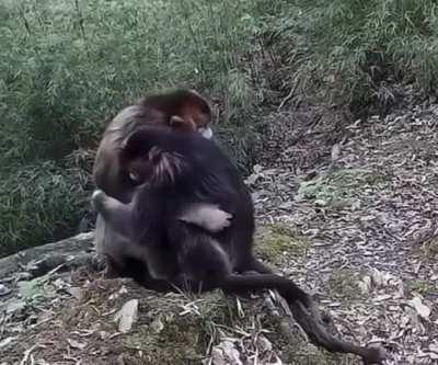 Sometimes you just need a hug