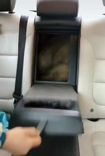 Don't lock your dog in the trunk! Oh.