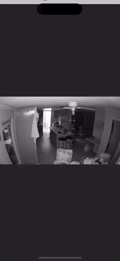 Girl caught in my kitchen on camera in the middle of the night