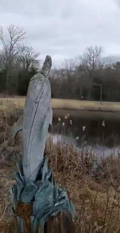 Cursed_Mermaid