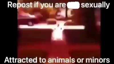 A TRUE Discord video