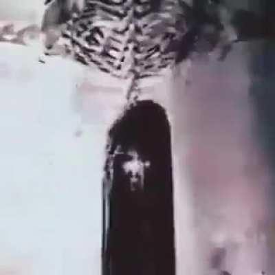 Found this beauty on FB is this fan art or what?