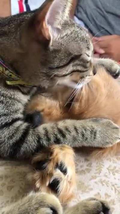 Best friends forever.