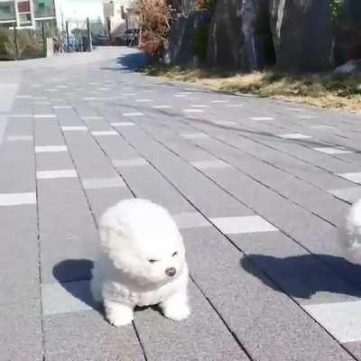 The wind is too strong!