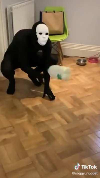 No sé qué es. ¿Qué eres?