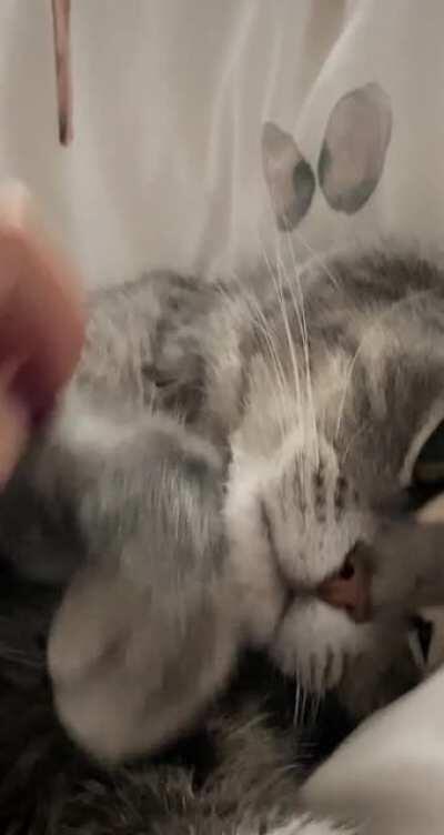 I love waking up with him